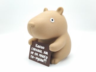 Касичка с послание